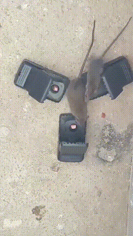 trap-gif